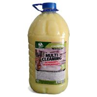 Detergente Desengraxante Multi Cleaning 5L